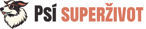 Pusť to, co tě ničí